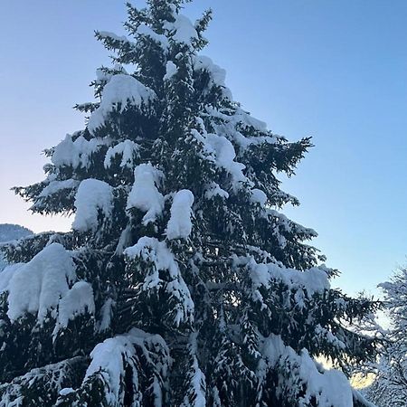 Chalet La Poipia Бофорт Екстериор снимка