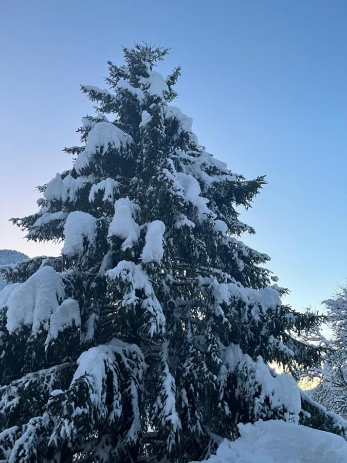 Chalet La Poipia Бофорт Екстериор снимка